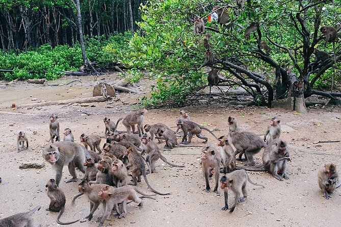 From Ho Chi Minh: Can Gio Trek – Monkey Island & Crocodile Farm - Canoe/boat time through the mangroves: relaxing, but check your expectations