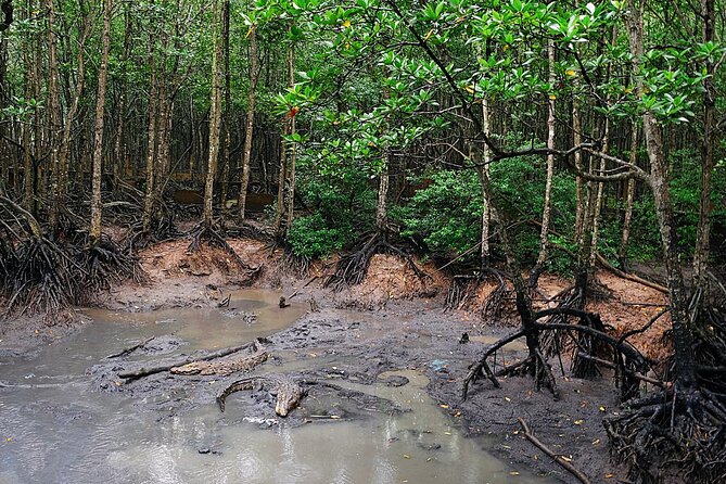 From Ho Chi Minh: Can Gio Trek – Monkey Island & Crocodile Farm - Price and logistics: why $28.50 can make sense