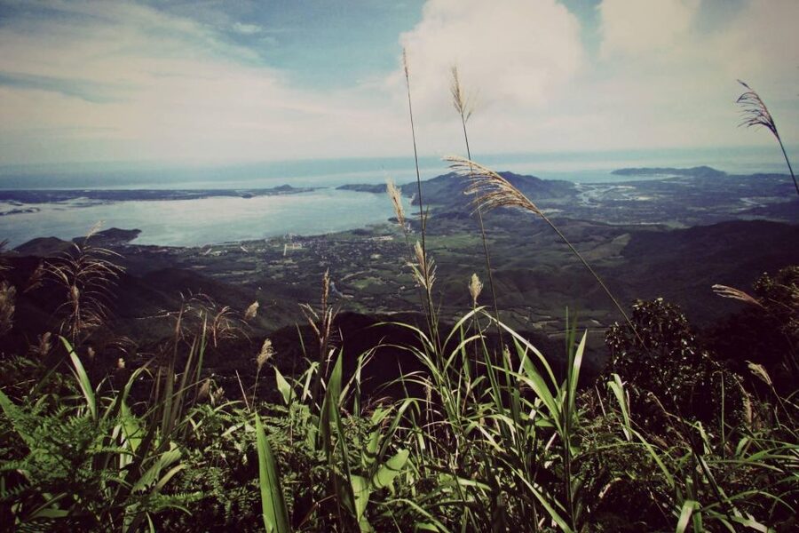 From Hue/Da Nang/Hoi An: Bach Ma National Park Trekking Tour - Bach Ma’s biodiversity: more than just a hike photo-op