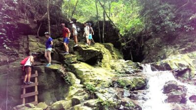 From Hue/Da Nang/Hoi An: Bach Ma National Park Trekking Tour - Hai Vong Dai Peak: the view that makes the morning feel real