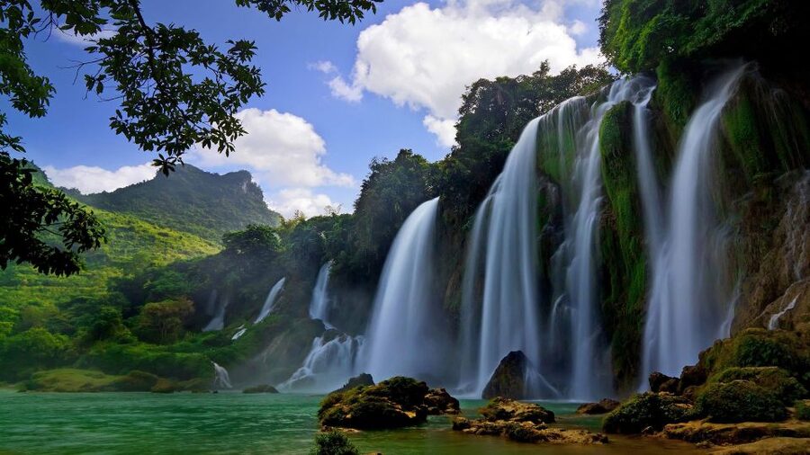 From Hue/Da Nang/Hoi An: Bach Ma National Park Trekking Tour - Price and value: what you really get for about $39
