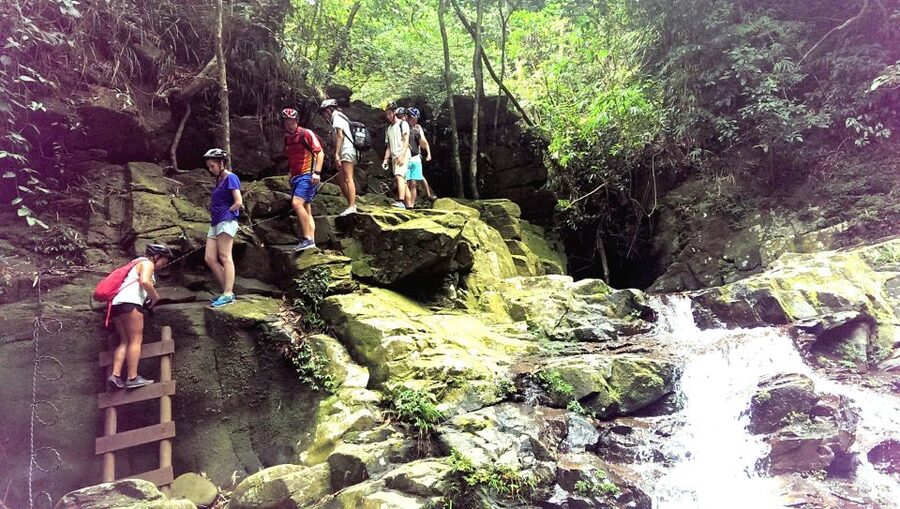 From Hue/Da Nang/Hoi An: Bach Ma National Park Trekking Tour - Hai Vong Dai Peak: the view that makes the morning feel real