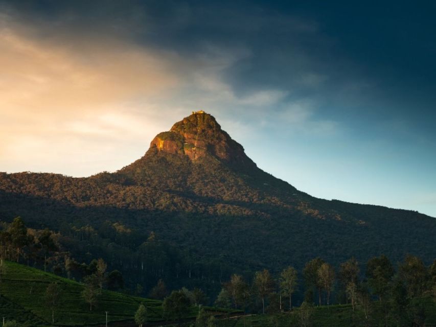 From Kandy: All Inclusive Adams Peak Epic Guided Hike - The tea stop and the pre-sunrise comfort check