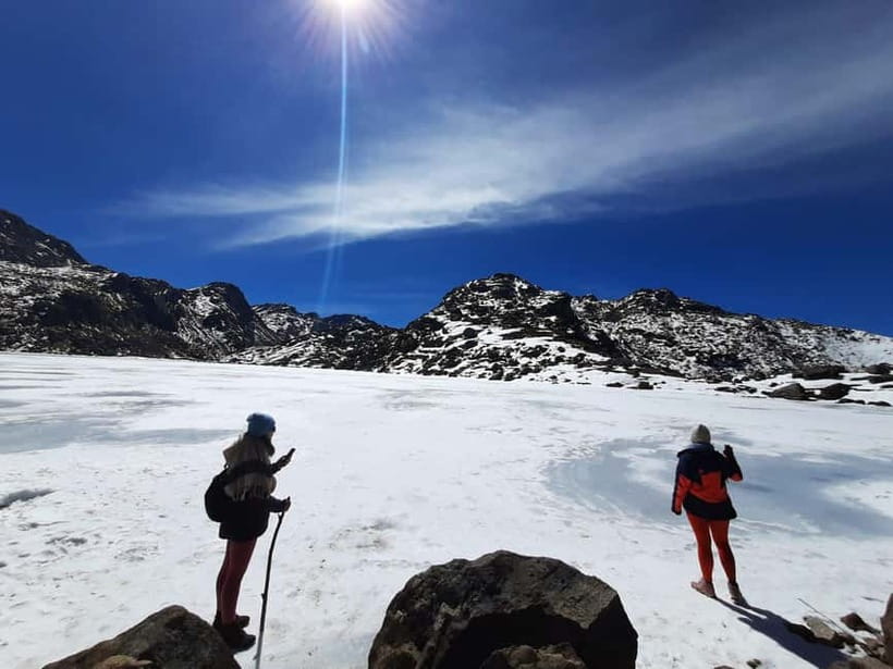From Kathmandu: 5-Day Gosaikunda Lake Trek - Day 4 Down to Dhunche: Rhododendrons, Pine, Bamboo, and a Breather