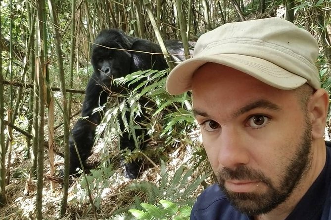 From Kigali: 10 Hour Day-trip Rwanda Gorilla Trekking with Lunch - How gorilla trekking works once you reach the forest