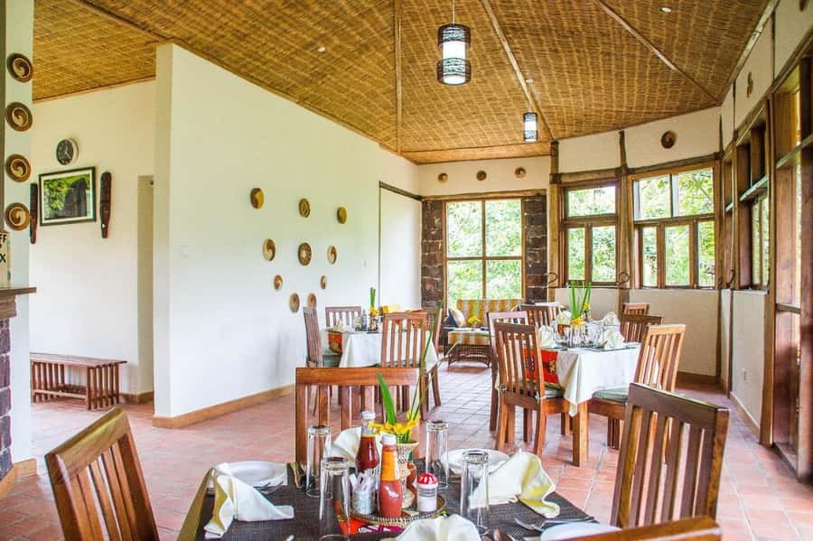 From Kigali: 2-Day Gorilla Trek: Bwindi Nat Park - Transport and guiding: why the people part matters