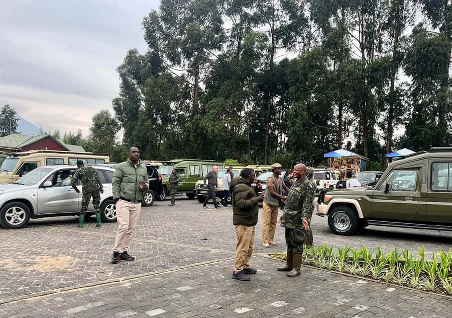 From Kigali: Bisoke Summit Trek, Crater Lake 1 Day Safari - Wildlife odds in gorilla country (and how to handle them)