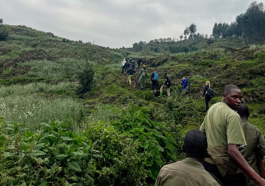 From Kigali: Bisoke Summit Trek, Crater Lake 1 Day Safari - The summit and the crater lake: where the day turns peaceful