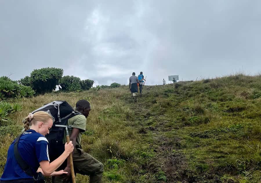 From Kigali: Bisoke Summit Trek, Crater Lake 1 Day Safari - Cost and value: is $260 worth it for a Bisoke summit day?
