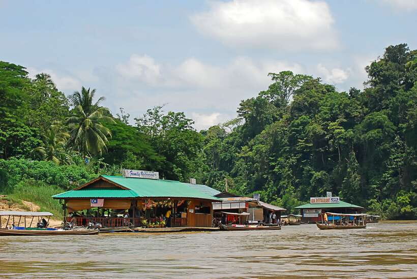 From Kuala Lumpur: Taman Negara National Park Trek Day Tour - Key Highlights You Should Know Before You Go