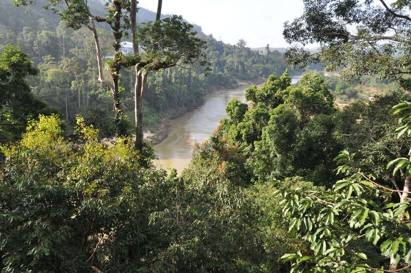 From Kuala Lumpur: Taman Negara National Park Trek Day Tour - Why This Taman Negara Day Tour Feels Worth It