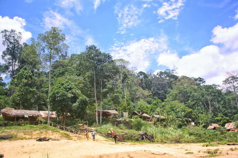 From Kuala Lumpur: Taman Negara National Park Trek Day Tour - The Canopy Walkway Is Closed: What Changes in Your Day