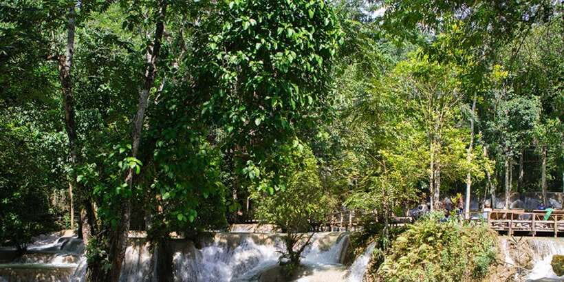 From Luang Prabang: Thin Pha Trail & Tad Sae Falls Trek - Trek through rice paddies and forested limestone terrain