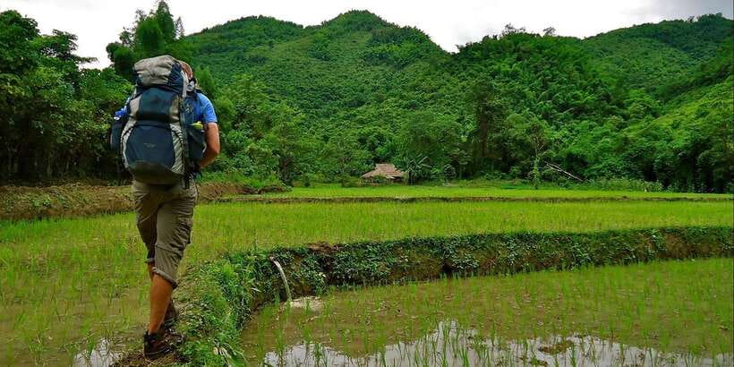 From Luang Prabang: Thin Pha Trail & Tad Sae Falls Trek - The middle of the trek: flora, fauna, and stop-and-listen moments