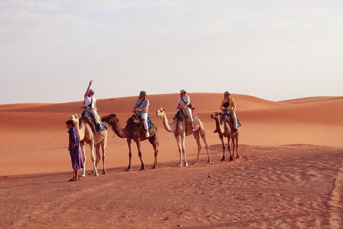 From Marrakech : 2 Day Stay in Merzouga with Food and Camel Trek - Two nights near Erg Chebbi: camel treks, sandboarding, and camp dinner