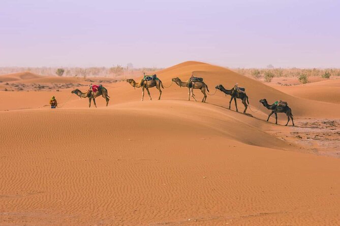 From Marrakech: 3 Days Desert Tour To Merzouga Camp & Camel Trek - Key things to know before you go