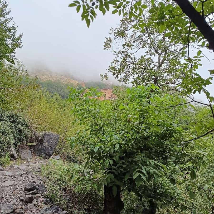 From Marrakech: Atlas Mountains Summit Trek - Who this is best for (and who should reconsider)
