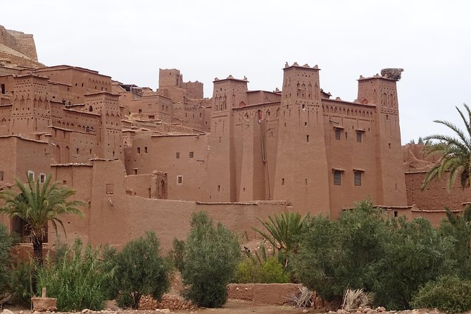 From Marrakech: Private Tour to Oasis and Trekking in the Desert of Erg Chigaga - Camp Evenings and Food: Berber Dinner With Music, Then Star Time