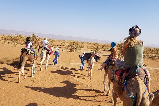 From Marrakech: Private Tour to Oasis and Trekking in the Desert of Erg Chigaga - Tazenakht Rugs and Tizi-n-Tichka: Rug Shopping and Mountain Road Magic