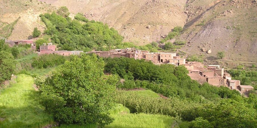 From Marrakech: Trek to Atlas Mountains, Full-Day Trip Lunch - The Cooking Moment: What the Moroccan Cooking Element Really Means