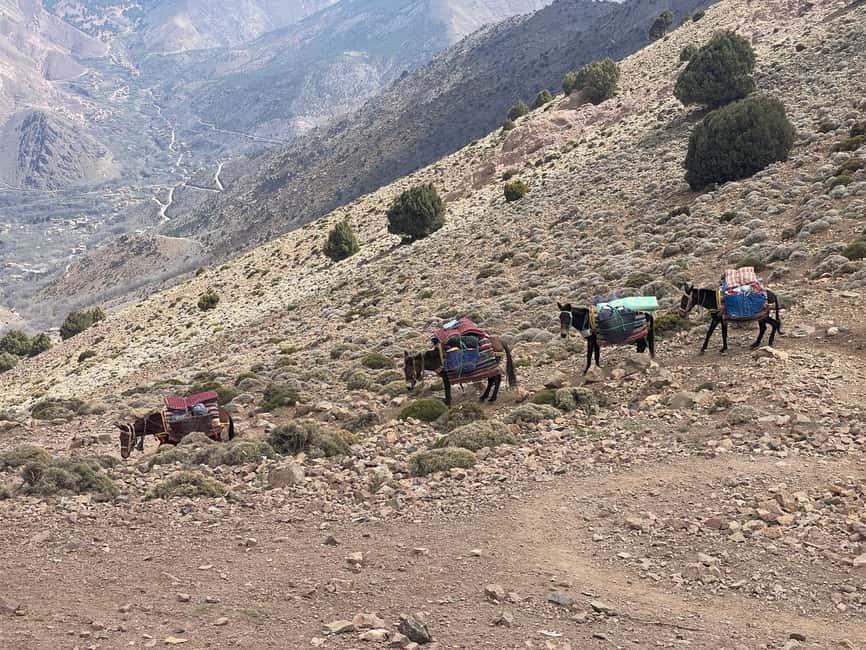 From Marrakech: Trek to Atlas Mountains, Full-Day Trip Lunch - Time on the Ground: How the 8–9 Hours Usually Feel
