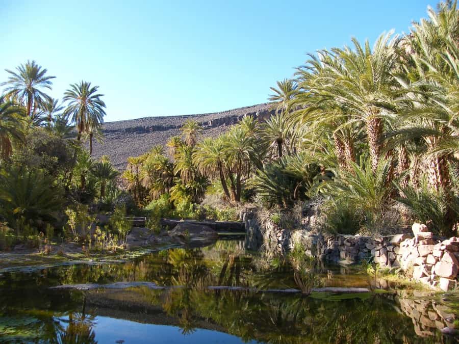 From Marrakesh: 2-Day Trek to Ait-Benhaddou and Ouarzazate - The guides and drivers: safety, pacing, and real local knowledge