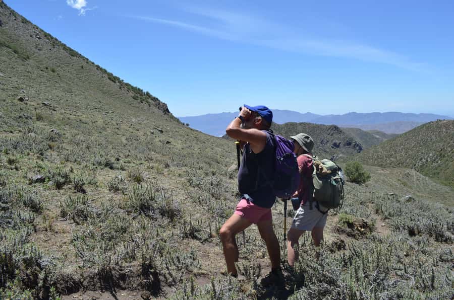 From Mendoza: Trekking and Barbecue in the Andes - Who Should Book This Andes Hike and Barbecue