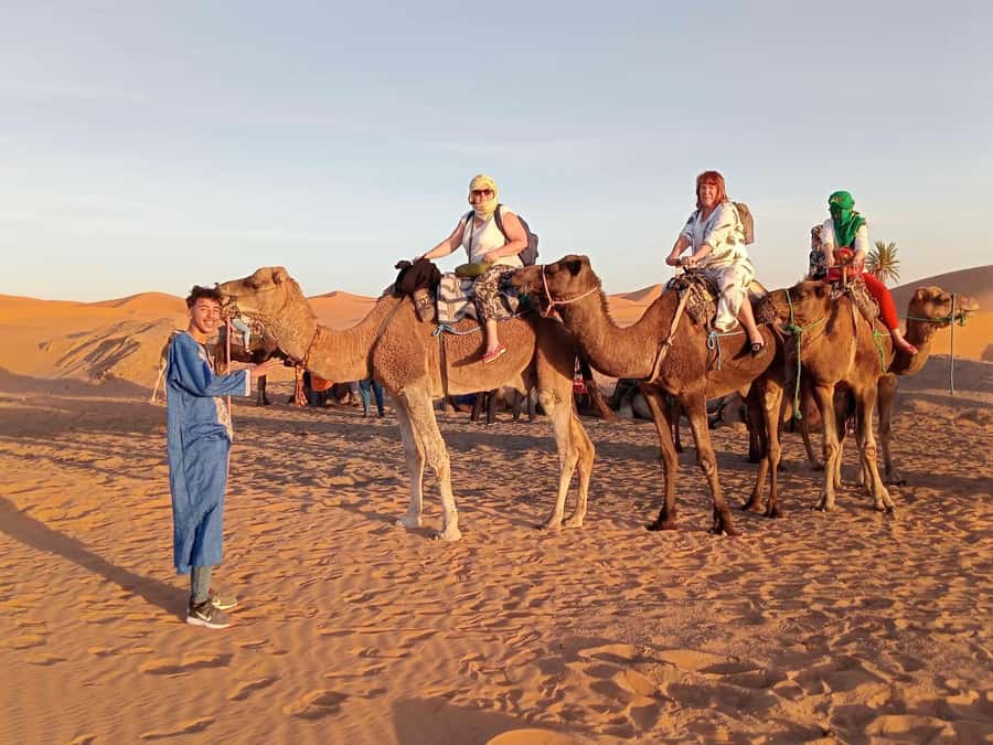 From Merzouga: Overnight Camel Trek over Erg Chebbi Dunes - Camel care and guide quality: the difference between a good night and a bad one
