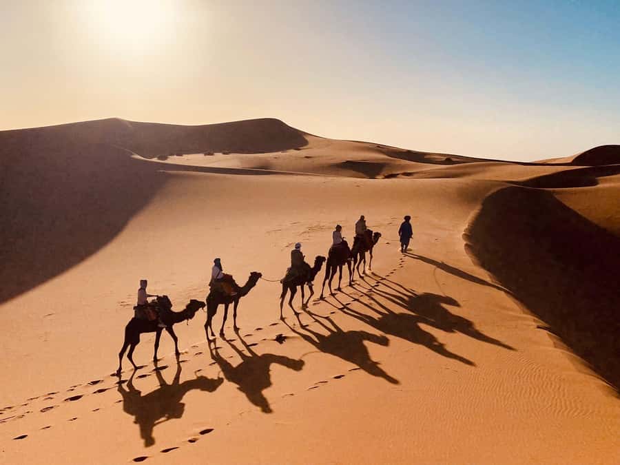 From Merzouga: Overnight Camel Trek over Erg Chebbi Dunes - Comfort checklist: tents, cold nights, and camel-saddle reality