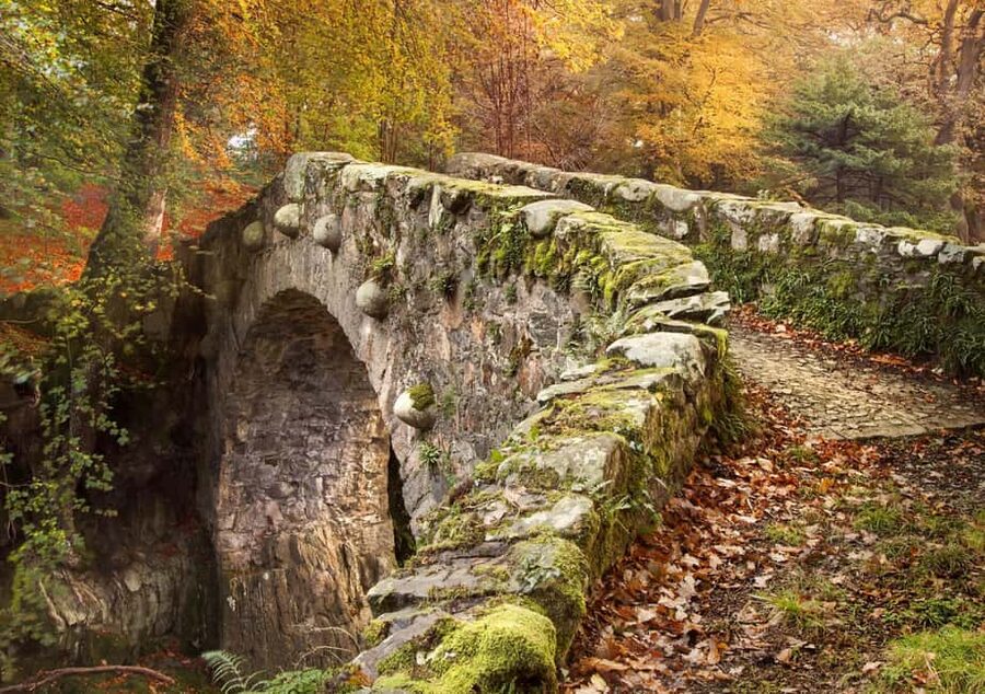 From Newcastle: Game of Thrones Tollymore Forest Trek - Terrain reality check: uneven ground, steep down, steep up