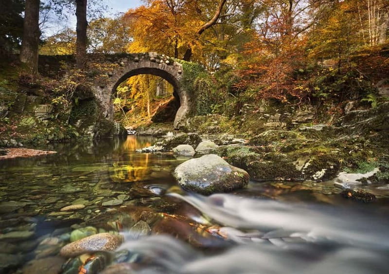 From Newcastle: Game of Thrones Tollymore Forest Trek - Weather and what to pack for Northern Irish rain