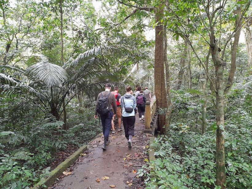 From Ninh Binh: Cuc Phuong National Park Trekking Day Tour - Lunch in the Park: A Set Vietnamese Meal That Keeps You Moving