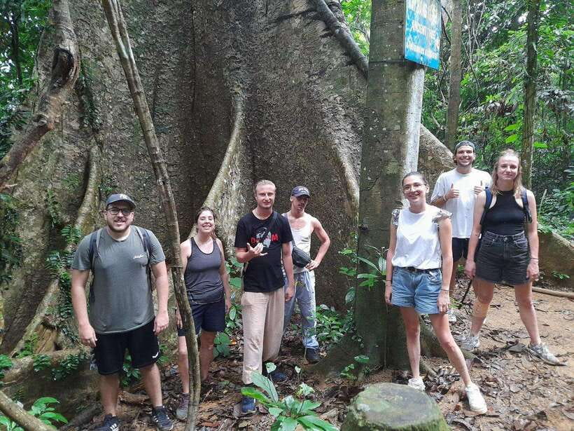 From Ninh Binh: Cuc Phuong National Park Trekking Day Tour - Trekking to the 1000 Years Old Tree: Comfort, Timing, and Footwear