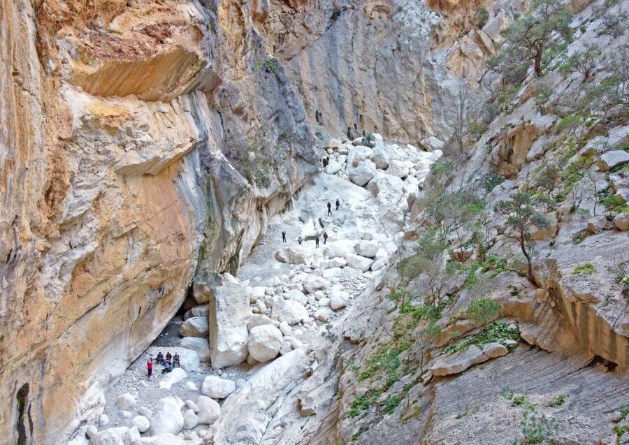 From Orosei or Dorgali: Trek to Gorropu with Panoramic Views - What to Pack (and What You Can Skip)