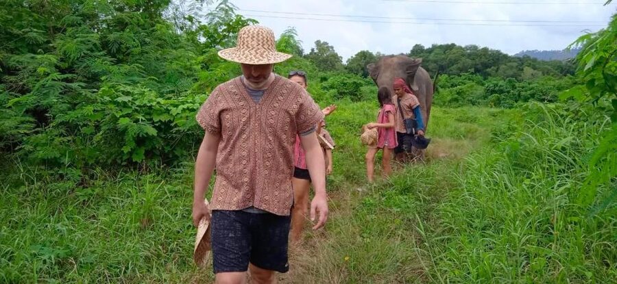 From Phuket: Ethical Elephant Interactive Trek and Tour - The 11 AM Thai lunch break: Pad Thai and seasonal fruit