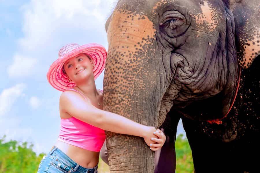 From Phuket: Ethical Elephant Interactive Trek and Tour - Mud spa with elephants: how the getting-muddy part works