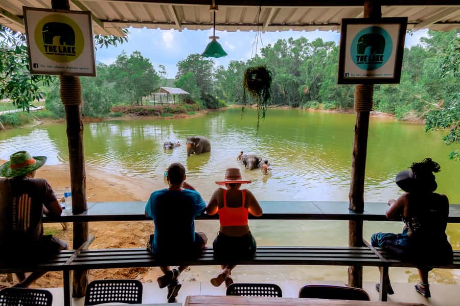 From Phuket: Ethical Elephant Interactive Trek and Tour - Price and value: is $157 for 7 hours fair?