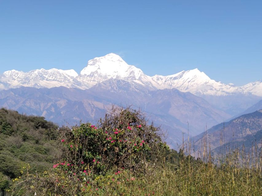 From Pokhara: 10-Day Poon Hill and Annapurna Base Camp Trek - When to go: seasons, weather, and sunrise odds