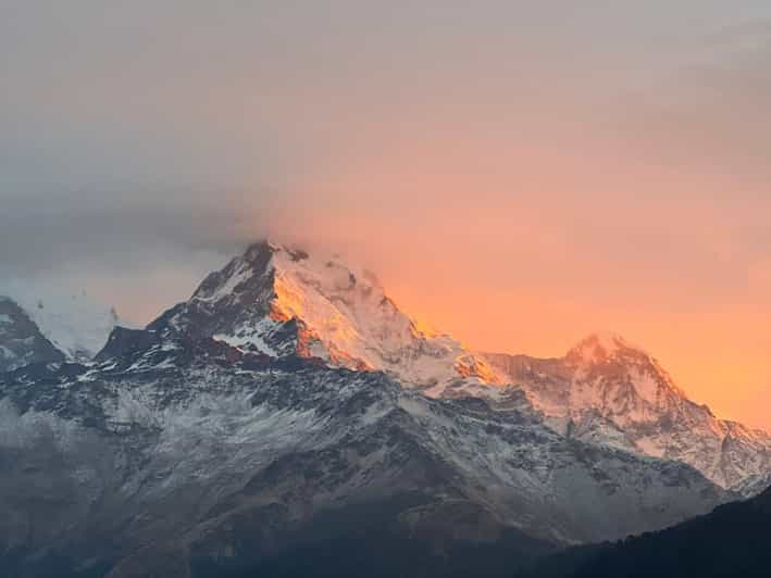From Pokhara: 2 Day 1 Night Ulleri,Ghorepani Poon Hill Trek - Ulleri and the Rhododendron Walk Toward Ghorepani