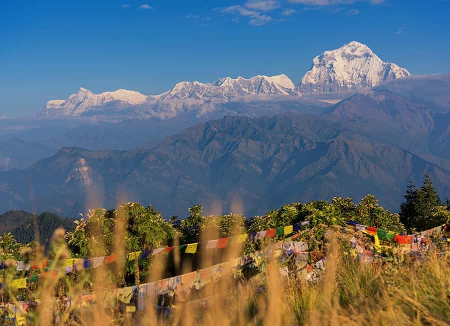 From Pokhara: 3-Day Ghorepani Poon Hill Trek with Guide - Where the effort lands: difficulty, pacing, and who will love this most