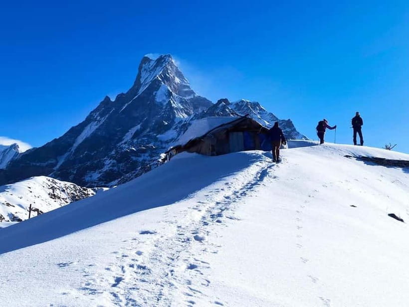 From Pokhara: 4-Day Mardi Himal Base Camp Trek - Forest Camp to High Camp: rhododendron and oak forest trekking