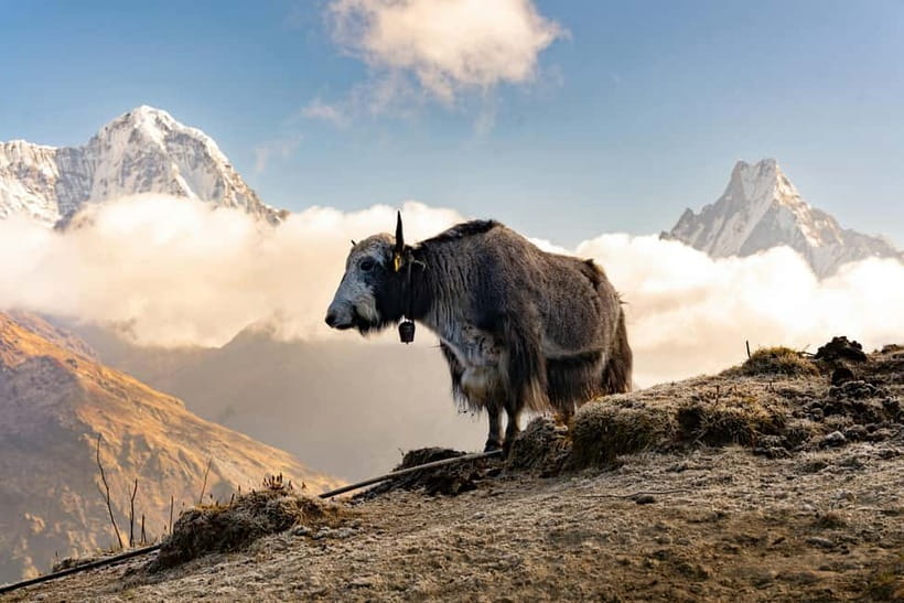 From Pokhara: 4-Day Mardi Himal Base Camp Trek - Low Camp to Siding and Lumre: the satisfying finish