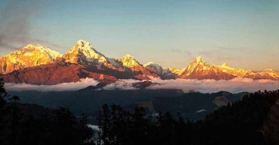 From Pokhara: 5-Day Annapurna Basecamp Trek with Hot Springs - Day 2: Chomrong to Deurali via forest walking