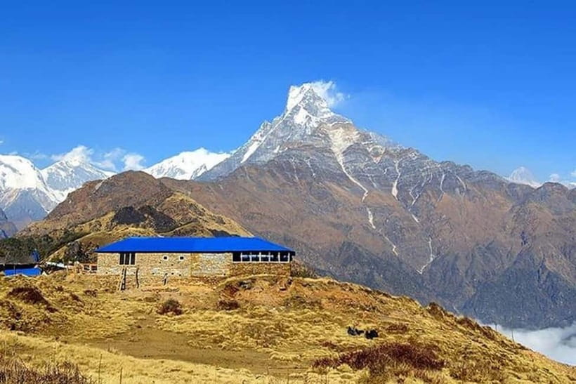 From Pokhara: 5-Day Mardi Himal Base Camp Trek - Day 3: Low Camp to High Camp (when the air feels sharper)