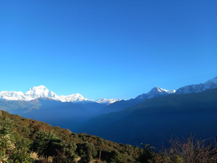From Pokhara: Australian Camp & Dhampus 1, or 2-Day Trek - Key things I’d bank on before you go