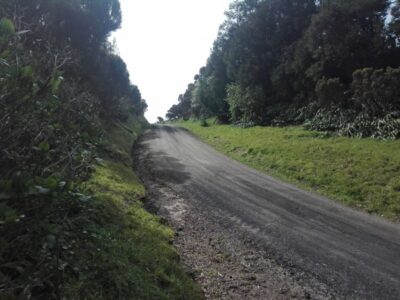 From Ponta Delgada: Vista do Rei to Sete Cidades Guided Trek - The walking route: ridge trail to Lomba do Vasco and toward Sete Cidades