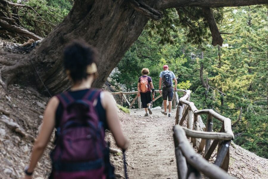 From Rethymno: Samaria Gorge Full-Day Trek, Pickup & Guide - Keeping Your Pace: Toilets, Water Stops, and Safety Reality
