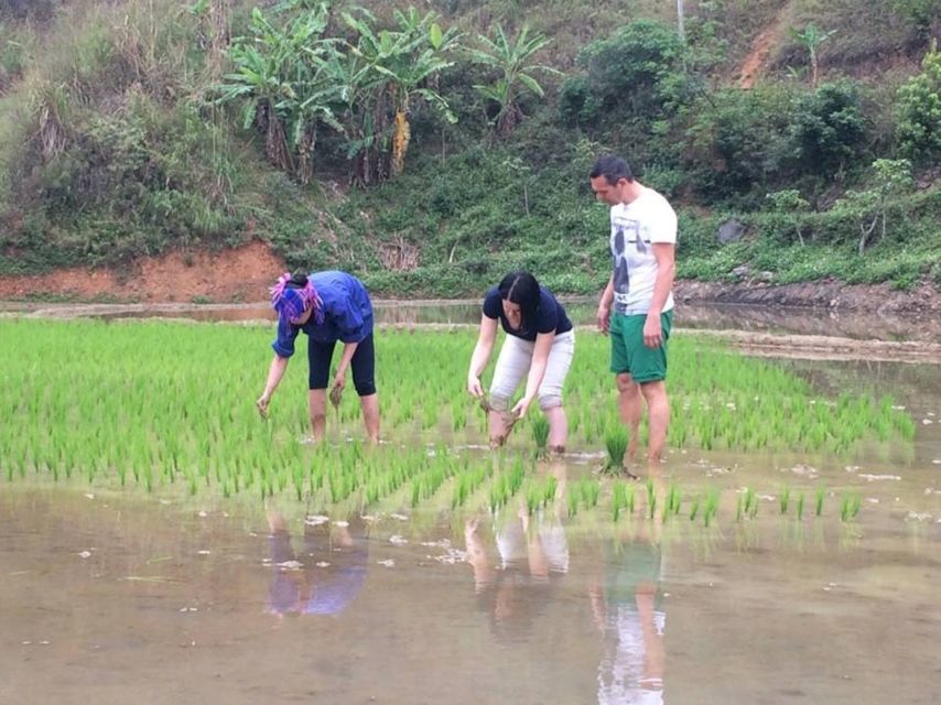 From Sa Pa: 5-Hour Muong Hoa Valley Trek and Ethnic Tribes - Key Things You’ll Want To Know Before You Go