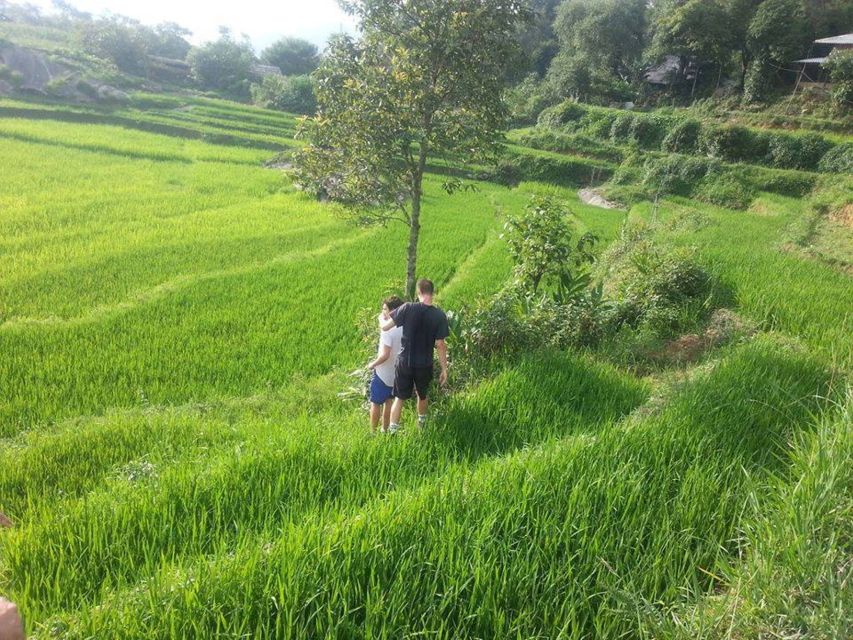 From Sa Pa: 5-Hour Muong Hoa Valley Trek and Ethnic Tribes - Ta Van House Visits: Weaving And Rice Work Up Close
