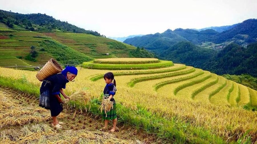 From Sa Pa: 5-Hour Muong Hoa Valley Trek and Ethnic Tribes - Trek Reality Check: Fitness, Mud, And Getting Help When It’s Wet